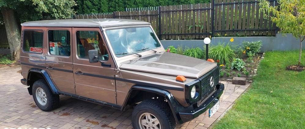 Mercedes-Benz Klasa G cena 69000 przebieg: 233500, rok produkcji 1986 z Ryn małe 92